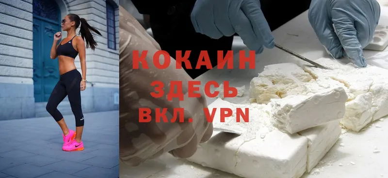 Кокаин Fish Scale  darknet телеграм  Зеленогорск 