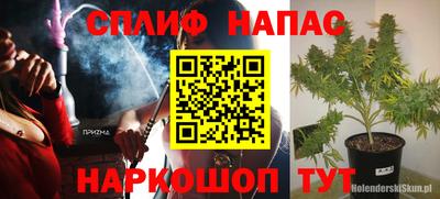гидра Бузулук