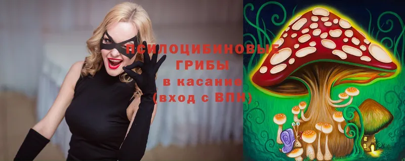 Псилоцибиновые грибы Magic Shrooms  Зеленогорск 