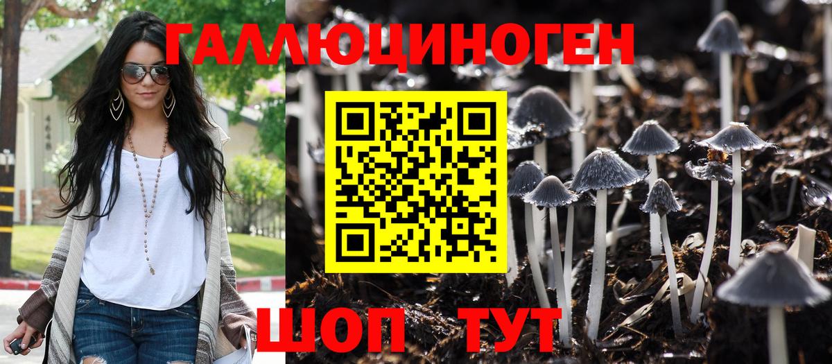 Псилоцибиновые грибы MAGIC MUSHROOMS  Псилоцибиновые грибы мухоморы  Зеленогорск  Вход с VPN 
