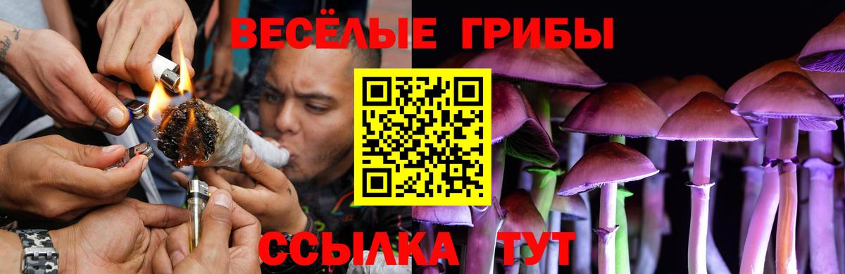 Псилоцибиновые грибы прущие грибы Зеленогорск